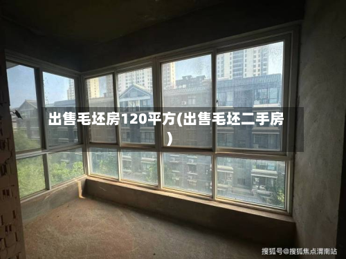 出售毛坯房120平方(出售毛坯二手房)-第2张图片