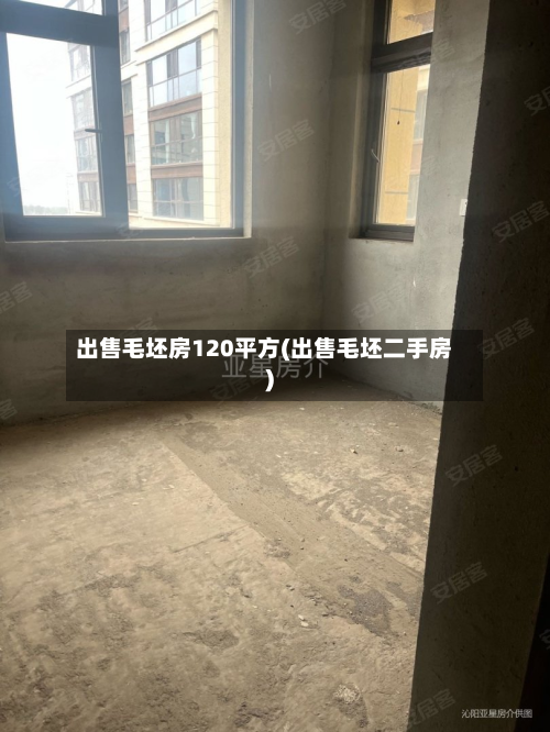 出售毛坯房120平方(出售毛坯二手房)