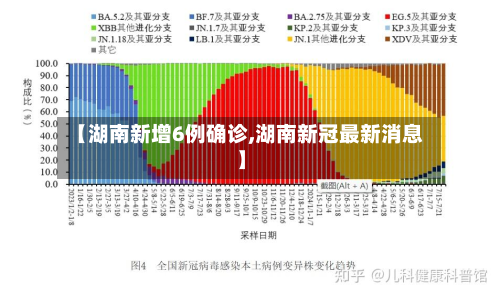 【湖南新增6例确诊,湖南新冠最新消息】