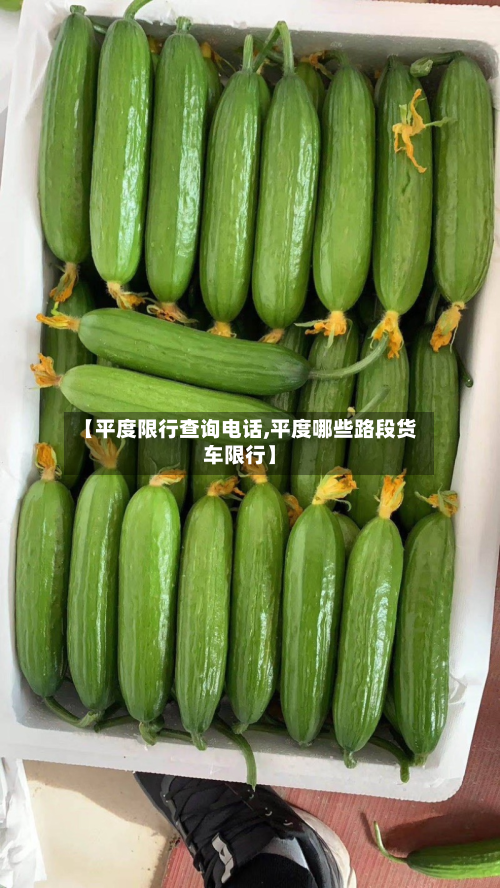 【平度限行查询电话,平度哪些路段货车限行】