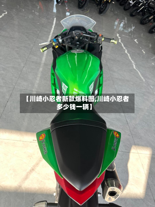 【川崎小忍者新款爆料图,川崎小忍者多少钱一辆】