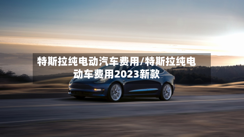 特斯拉纯电动汽车费用/特斯拉纯电动车费用2023新款