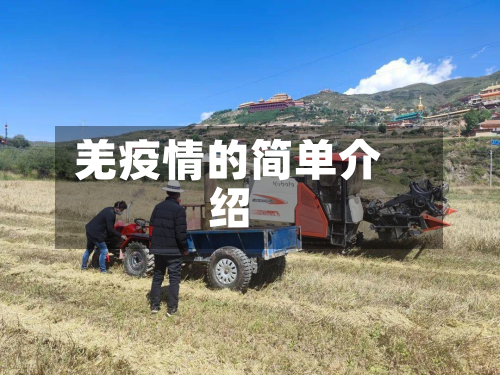 羌疫情的简单介绍-第3张图片