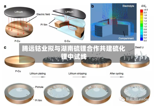 腾远钴业拟与湖南硫锂合作共建硫化锂中试线