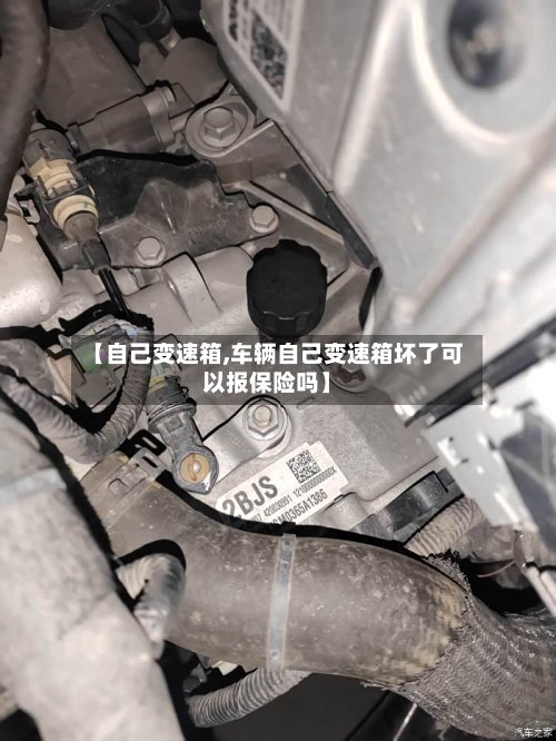 【自己变速箱,车辆自己变速箱坏了可以报保险吗】