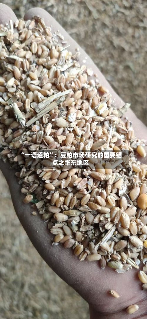 “一语道粕	”：豆粕市场研究的重要锚点之华东地区-第2张图片