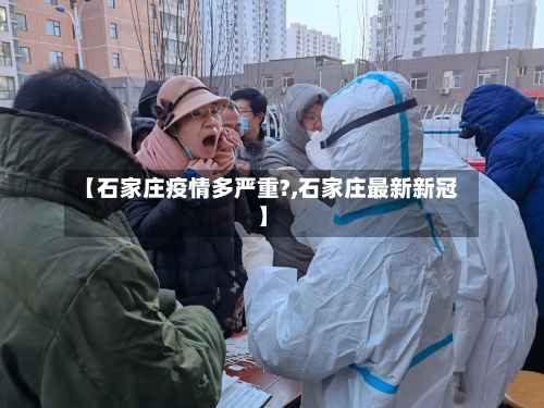【石家庄疫情多严重?,石家庄最新新冠】-第2张图片