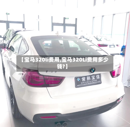 【宝马320li费用,宝马320Li费用多少钱?】