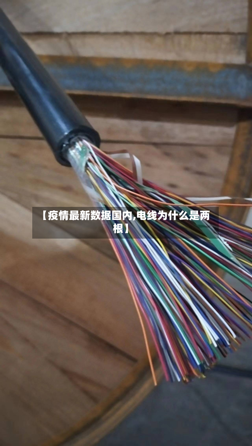 【疫情最新数据国内,电线为什么是两根】-第2张图片