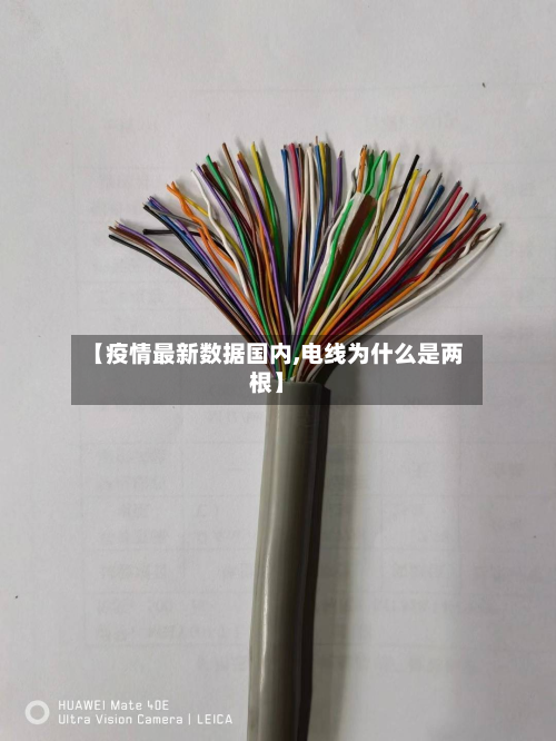 【疫情最新数据国内,电线为什么是两根】