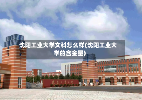沈阳工业大学文科怎么样(沈阳工业大学的含金量)