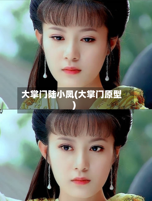 大掌门陆小凤(大掌门原型)