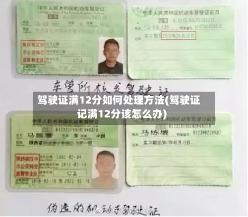 驾驶证满12分如何处理方法(驾驶证记满12分该怎么办)-第2张图片