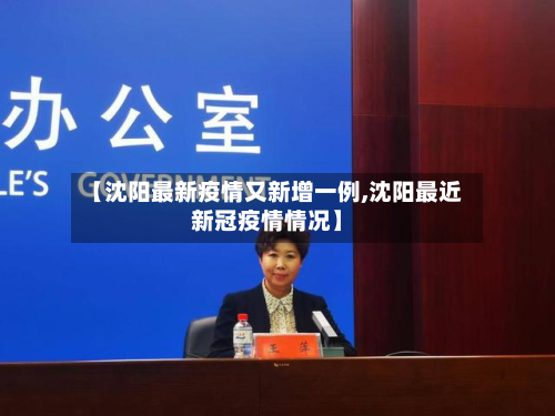 【沈阳最新疫情又新增一例,沈阳最近新冠疫情情况】-第2张图片