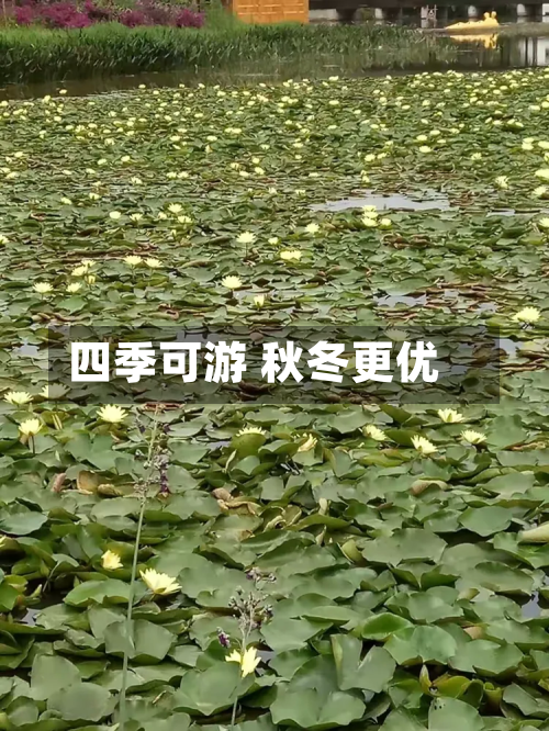 四季可游 秋冬更优