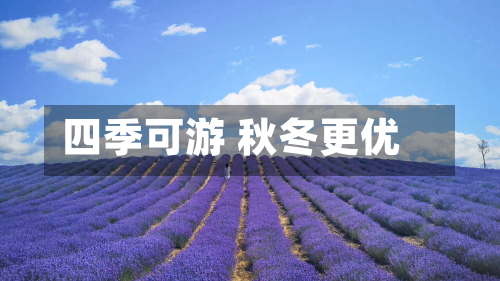 四季可游 秋冬更优-第2张图片