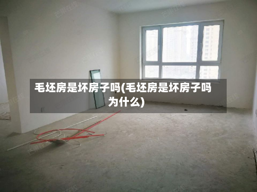 毛坯房是坏房子吗(毛坯房是坏房子吗为什么)