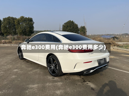 奔驰e300费用(奔驰e300费用多少)-第2张图片