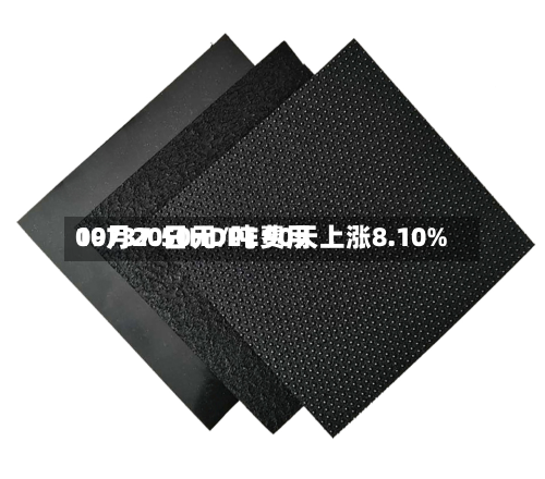 09月20日HDPE费用
10737.50元/吨 90天上涨8.10%-第2张图片