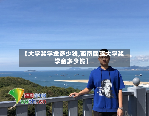 【大学奖学金多少钱,西南民族大学奖学金多少钱】-第2张图片