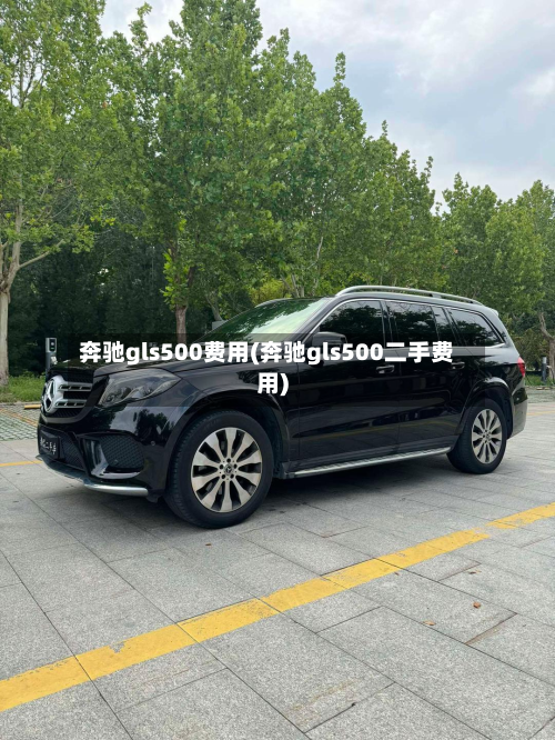 奔驰gls500费用(奔驰gls500二手费用)-第2张图片
