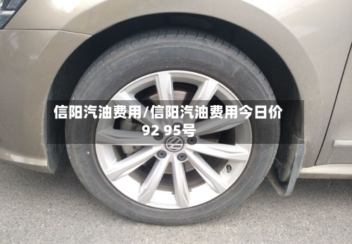 信阳汽油费用/信阳汽油费用今日价92 95号-第2张图片