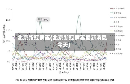北京新冠病毒(北京新冠病毒最新消息今天)-第2张图片