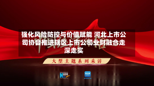 强化风险防控与价值赋能 河北上市公司协会推进辖区上市公司业财融合走深走实-第2张图片