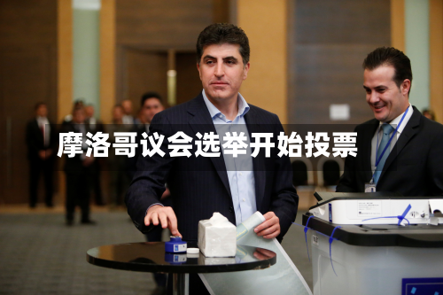 摩洛哥议会选举开始投票-第2张图片