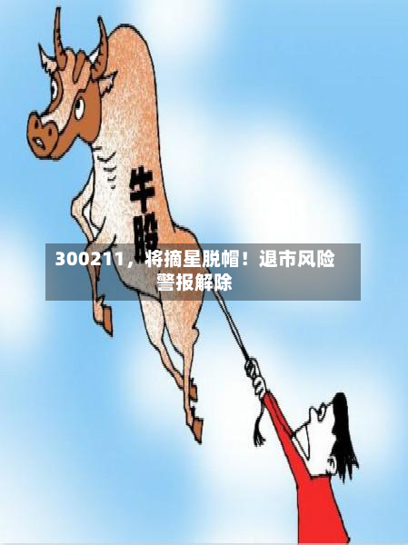 300211，将摘星脱帽！退市风险警报解除-第2张图片