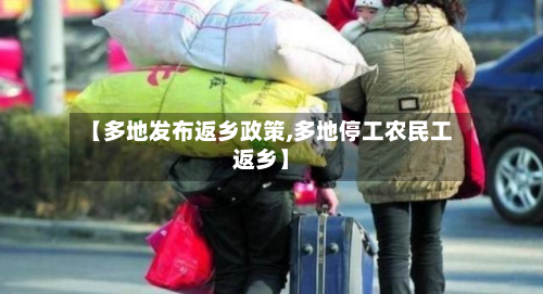 【多地发布返乡政策,多地停工农民工返乡】-第3张图片