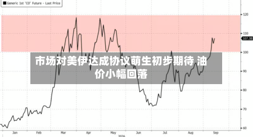 市场对美伊达成协议萌生初步期待 油价小幅回落-第2张图片