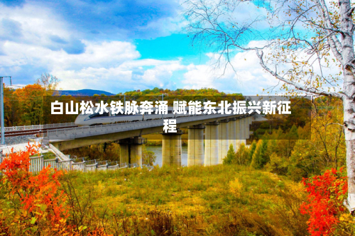 白山松水铁脉奔涌 赋能东北振兴新征程