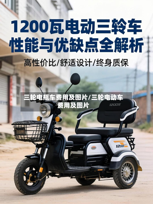 三轮电瓶车费用及图片/三轮电动车费用及图片-第3张图片
