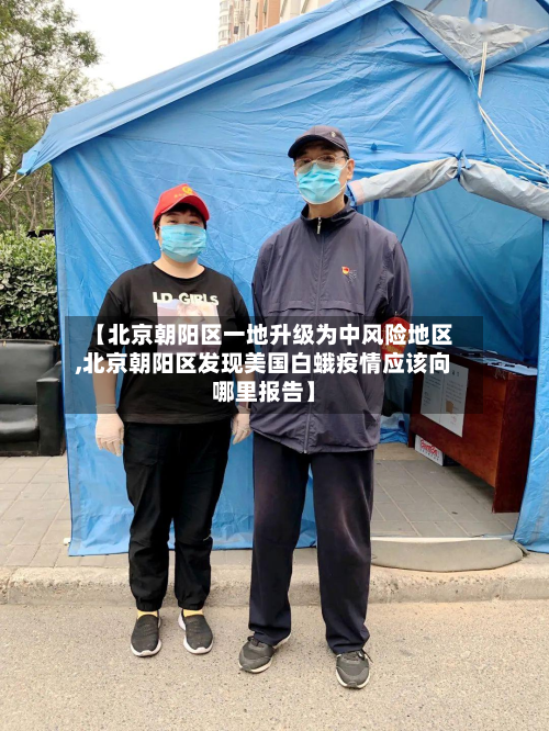 【北京朝阳区一地升级为中风险地区,北京朝阳区发现美国白蛾疫情应该向哪里报告】