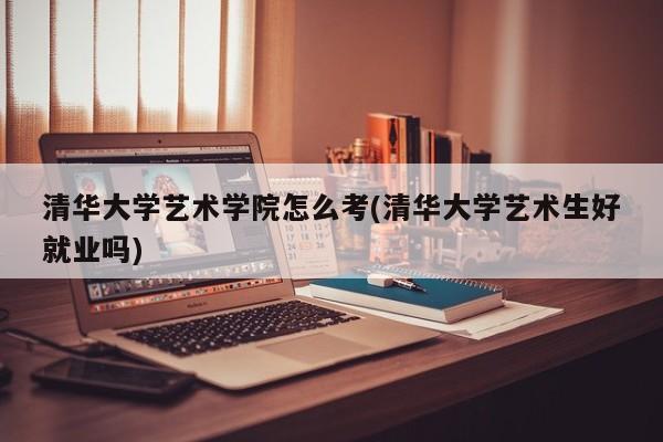 清华大学艺术学院怎么考(清华大学艺术生好就业吗)