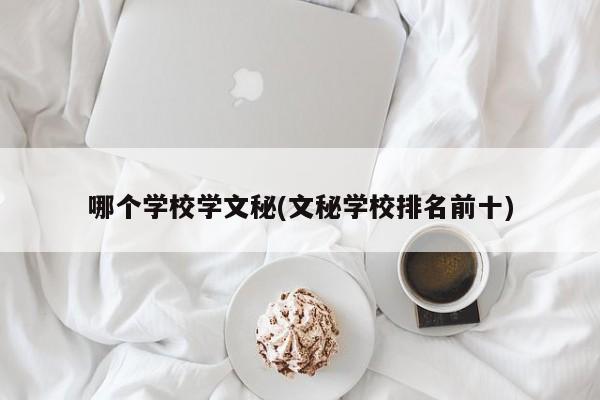 哪个学校学文秘(文秘学校排名前十)