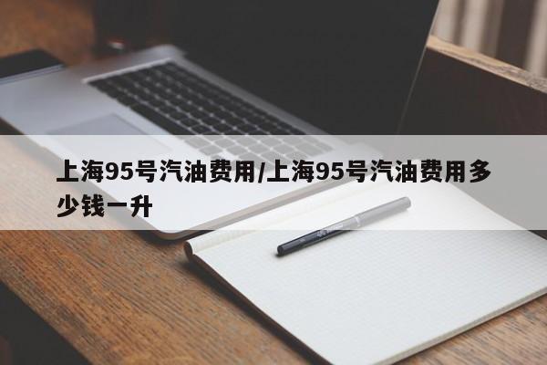 上海95号汽油费用/上海95号汽油费用多少钱一升