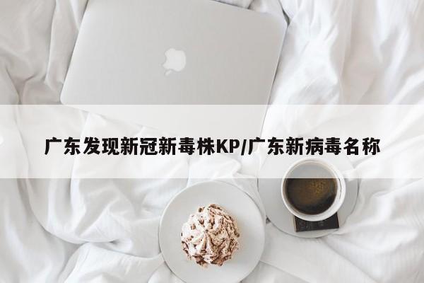 广东发现新冠新毒株KP/广东新病毒名称