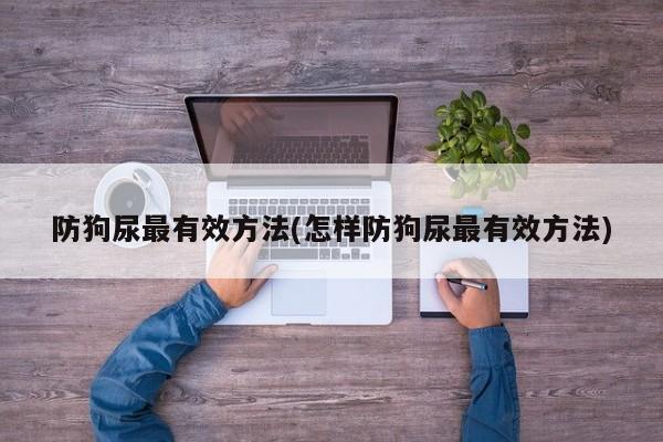 防狗尿最有效方法(怎样防狗尿最有效方法)