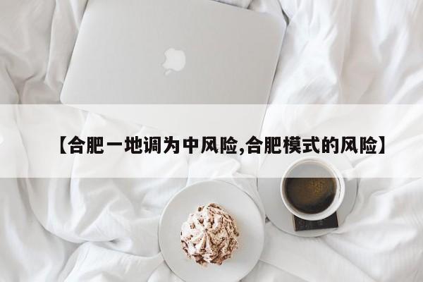 【合肥一地调为中风险,合肥模式的风险】