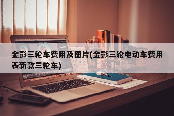 金彭三轮车费用及图片(金彭三轮电动车费用表新款三轮车)