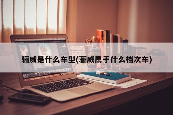 骊威是什么车型(骊威属于什么档次车)