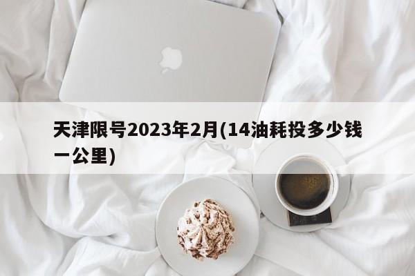 天津限号2023年2月(14油耗投多少钱一公里)