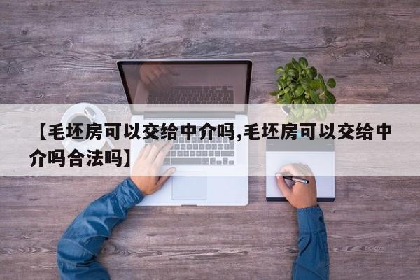 【毛坯房可以交给中介吗,毛坯房可以交给中介吗合法吗】
