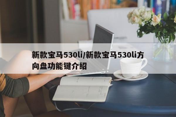 新款宝马530li/新款宝马530li方向盘功能键介绍