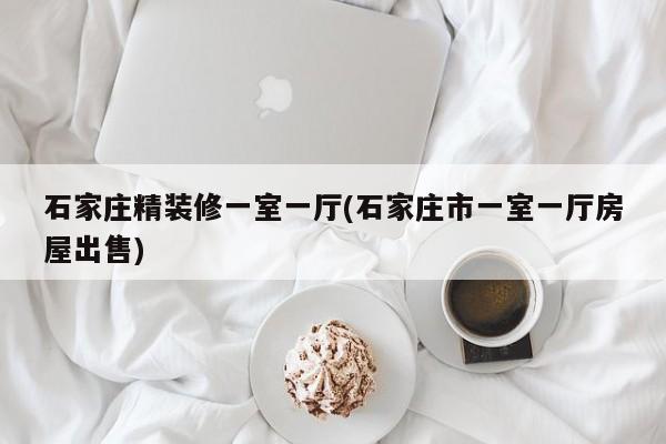 石家庄精装修一室一厅(石家庄市一室一厅房屋出售)