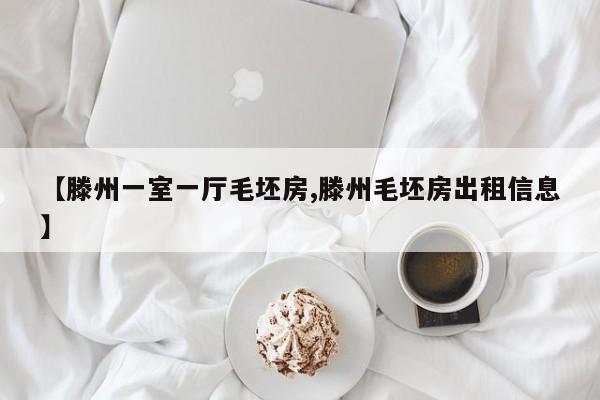 【滕州一室一厅毛坯房,滕州毛坯房出租信息】