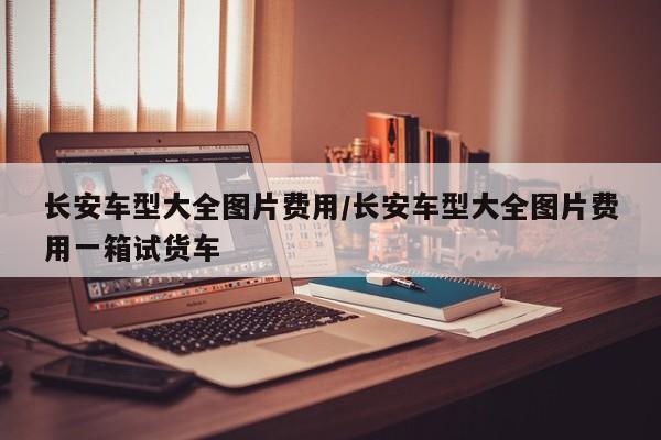 长安车型大全图片费用/长安车型大全图片费用一箱试货车