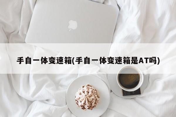 手自一体变速箱(手自一体变速箱是AT吗)